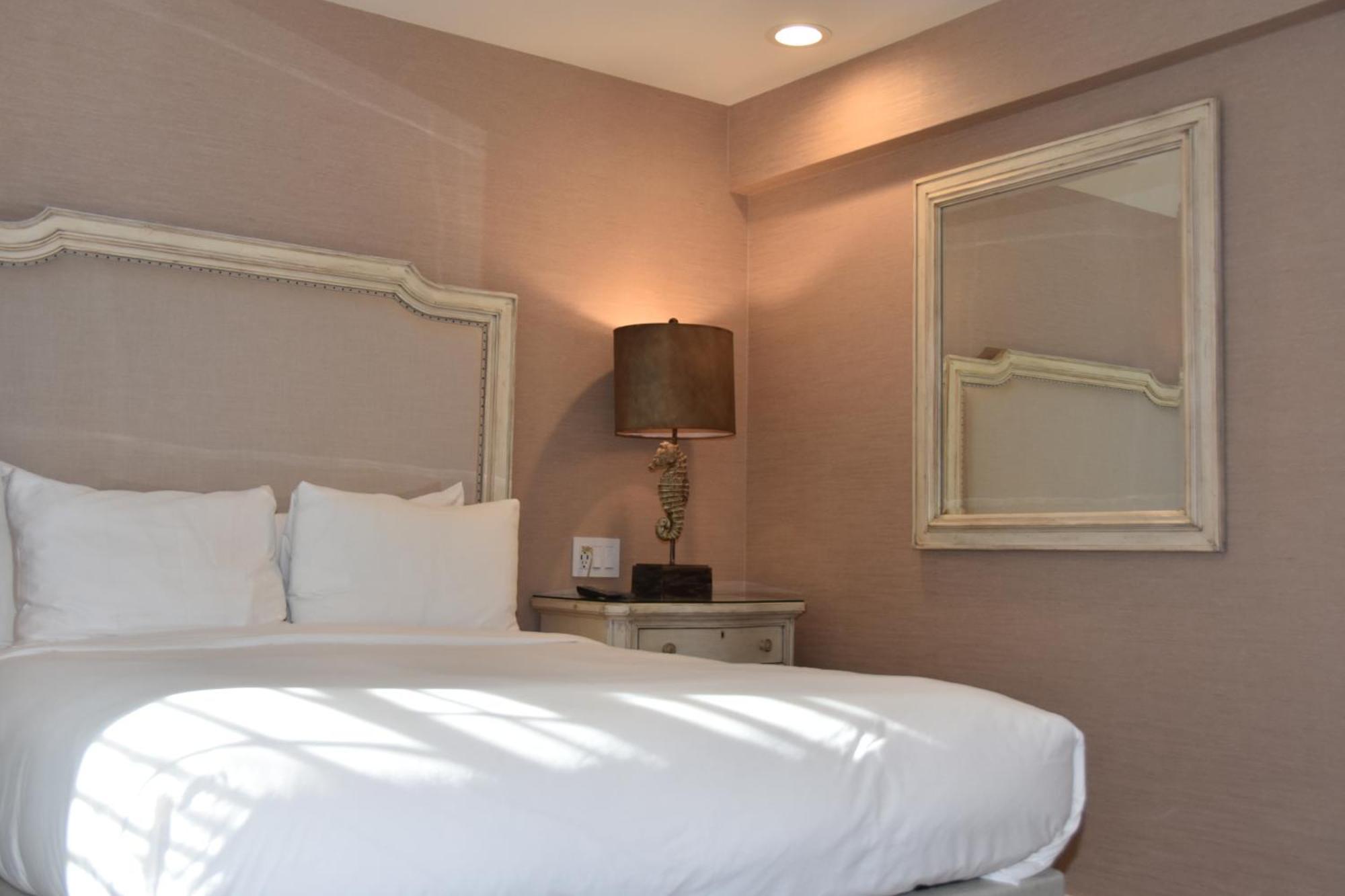 Palm Accessible Suite,1742906727:JPEG