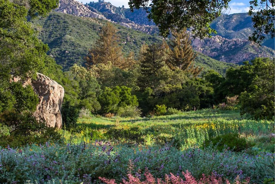 Santa Barbara Botanical Cabin-1