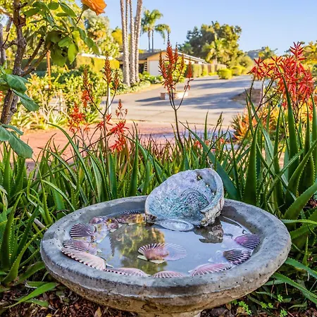 Hummingbird Haven-3